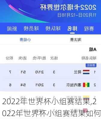 2022年世界杯小组赛结果,2022年世界杯小组赛结果如何