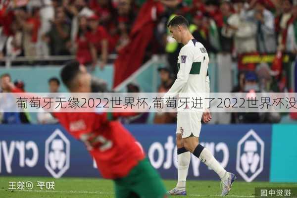 葡萄牙无缘2022世界杯,葡萄牙进了2022世界杯没