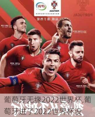 葡萄牙无缘2022世界杯,葡萄牙进了2022世界杯没