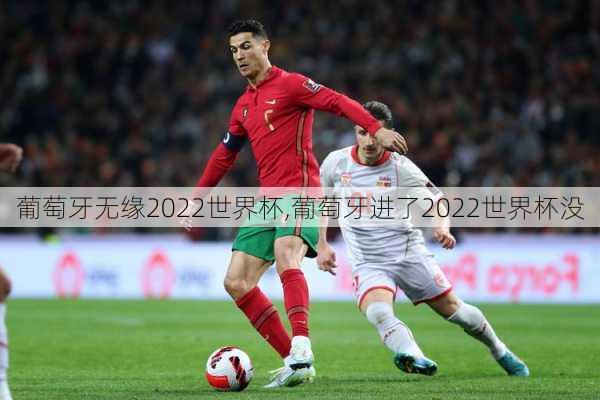 葡萄牙无缘2022世界杯,葡萄牙进了2022世界杯没