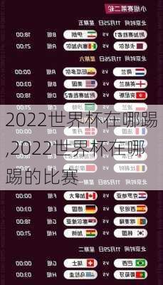 2022世界杯在哪踢,2022世界杯在哪踢的比赛