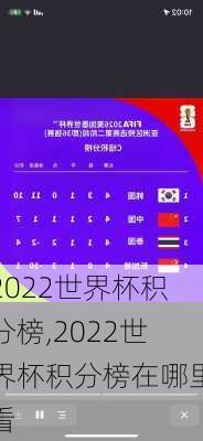 2022世界杯积分榜,2022世界杯积分榜在哪里看