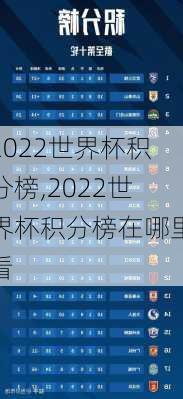 2022世界杯积分榜,2022世界杯积分榜在哪里看