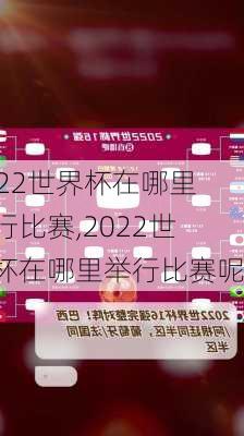 2022世界杯在哪里举行比赛,2022世界杯在哪里举行比赛呢