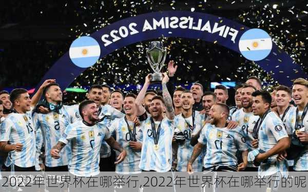 2022年世界杯在哪举行,2022年世界杯在哪举行的呢