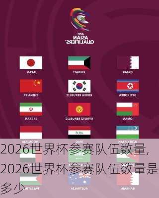 2026世界杯参赛队伍数量,2026世界杯参赛队伍数量是多少