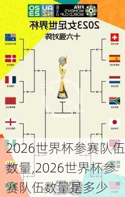 2026世界杯参赛队伍数量,2026世界杯参赛队伍数量是多少