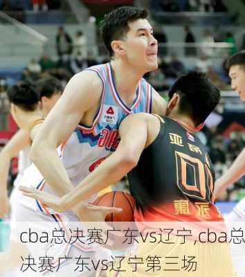 cba总决赛广东vs辽宁,cba总决赛广东vs辽宁第三场