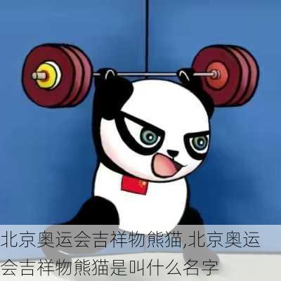 北京奥运会吉祥物熊猫,北京奥运会吉祥物熊猫是叫什么名字