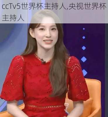 ccTv5世界杯主持人,央视世界杯主持人