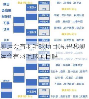 奥运会有羽毛球项目吗,巴黎奥运会有羽毛球项目吗