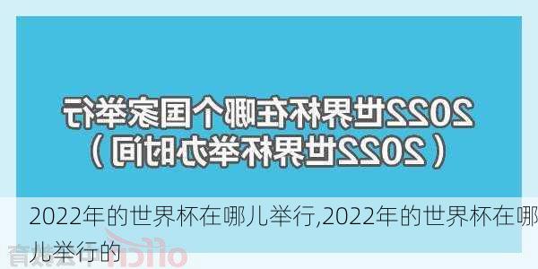 2022年的世界杯在哪儿举行,2022年的世界杯在哪儿举行的