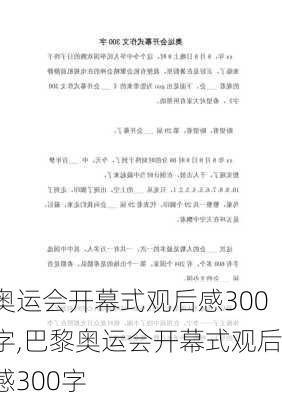 奥运会开幕式观后感300字,巴黎奥运会开幕式观后感300字