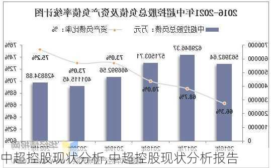 中超控股现状分析,中超控股现状分析报告