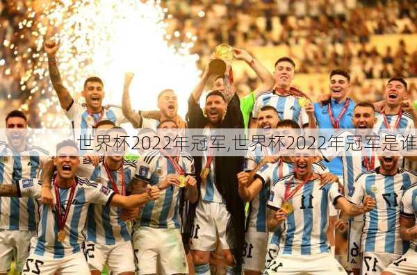 世界杯2022年冠军,世界杯2022年冠军是谁