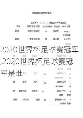 2020世界杯足球赛冠军,2020世界杯足球赛冠军是谁