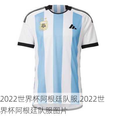 2022世界杯阿根廷队服,2022世界杯阿根廷队服图片