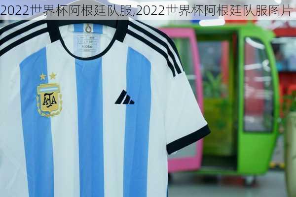 2022世界杯阿根廷队服,2022世界杯阿根廷队服图片