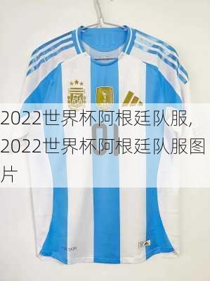 2022世界杯阿根廷队服,2022世界杯阿根廷队服图片