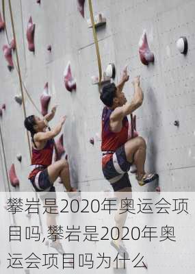 攀岩是2020年奥运会项目吗,攀岩是2020年奥运会项目吗为什么