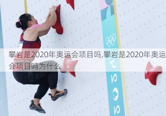 攀岩是2020年奥运会项目吗,攀岩是2020年奥运会项目吗为什么