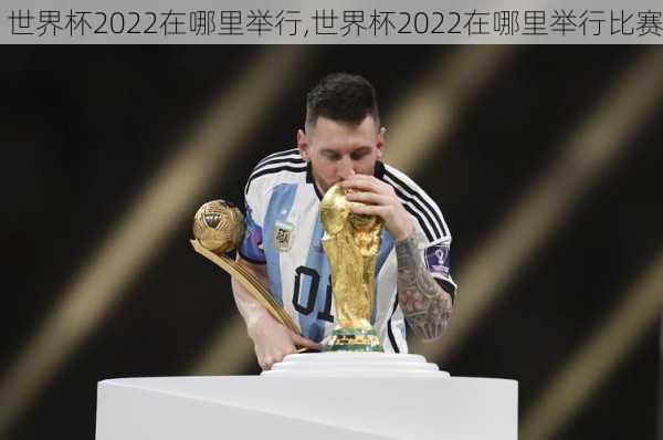 世界杯2022在哪里举行,世界杯2022在哪里举行比赛