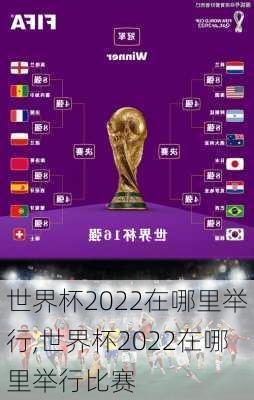 世界杯2022在哪里举行,世界杯2022在哪里举行比赛