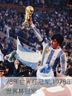 78年世界杯冠军,1978年世界杯冠军