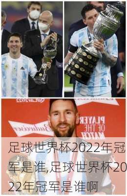 足球世界杯2022年冠军是谁,足球世界杯2022年冠军是谁啊