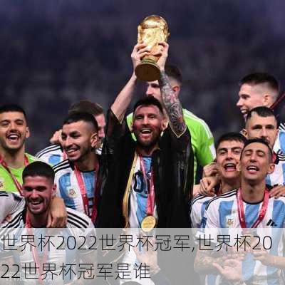 世界杯2022世界杯冠军,世界杯2022世界杯冠军是谁