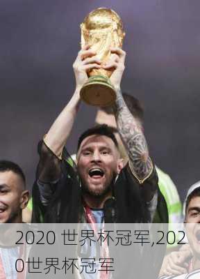 2020 世界杯冠军,2020世界杯冠军