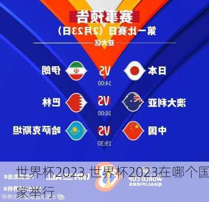 世界杯2023,世界杯2023在哪个国家举行