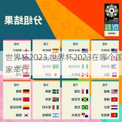 世界杯2023,世界杯2023在哪个国家举行