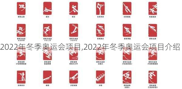 2022年冬季奥运会项目,2022年冬季奥运会项目介绍