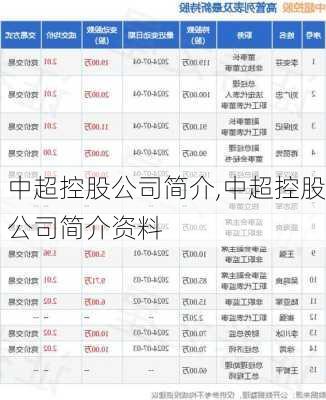 中超控股公司简介,中超控股公司简介资料