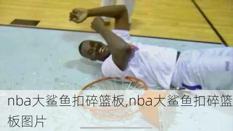 nba大鲨鱼扣碎篮板,nba大鲨鱼扣碎篮板图片