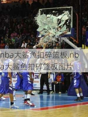 nba大鲨鱼扣碎篮板,nba大鲨鱼扣碎篮板图片