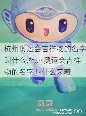 杭州奥运会吉祥物的名字叫什么,杭州奥运会吉祥物的名字叫什么来着