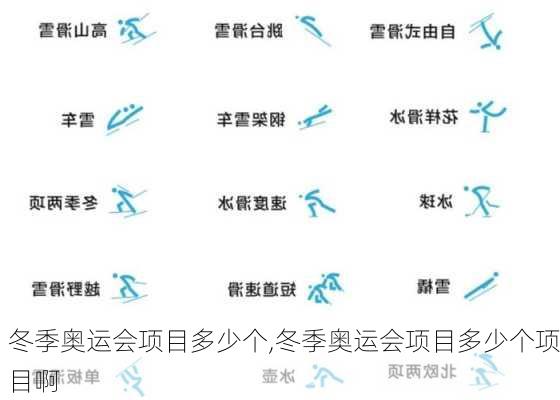 冬季奥运会项目多少个,冬季奥运会项目多少个项目啊