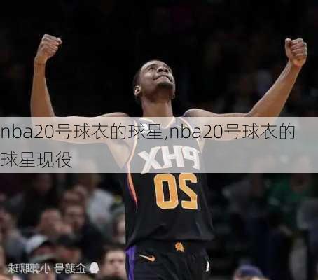 nba20号球衣的球星,nba20号球衣的球星现役