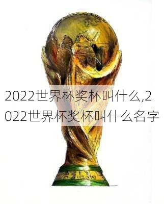 2022世界杯奖杯叫什么,2022世界杯奖杯叫什么名字