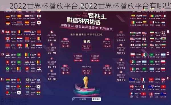 2022世界杯播放平台,2022世界杯播放平台有哪些