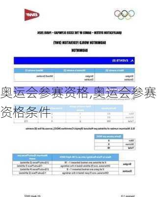 奥运会参赛资格,奥运会参赛资格条件