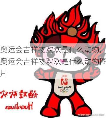 奥运会吉祥物欢欢是什么动物,奥运会吉祥物欢欢是什么动物图片