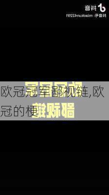 欧冠冠军鄙视链,欧冠的梗