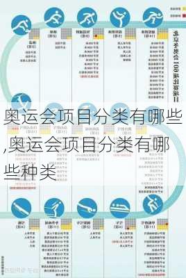 奥运会项目分类有哪些,奥运会项目分类有哪些种类