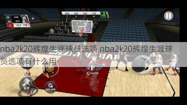 nba2k20辉煌生涯球员选项,nba2k20辉煌生涯球员选项有什么用