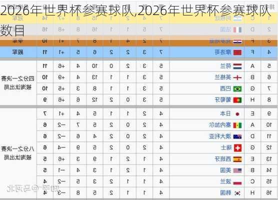 2026年世界杯参赛球队,2026年世界杯参赛球队数目