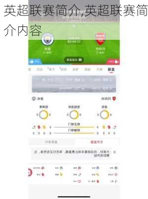 英超联赛简介,英超联赛简介内容