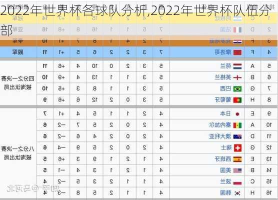 2022年世界杯各球队分析,2022年世界杯队伍分部